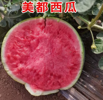 UC截图20221207144315.jpg UC截图20221207144315.jpg